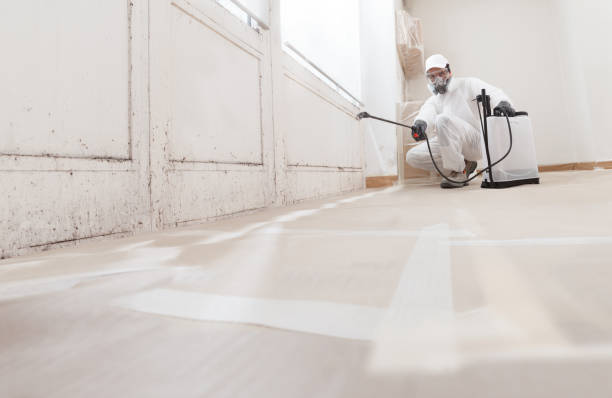 24/7 Emergency Attic Mold Remediation experts in Sherborn, MA