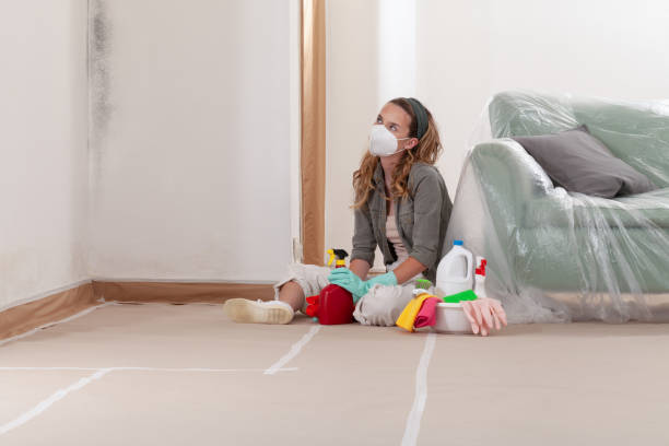 Reliable Attic Mold Remediation contractor in Sherborn, MA by 24 Hour Mold Removal